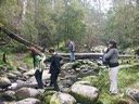 Lorne - nature walks